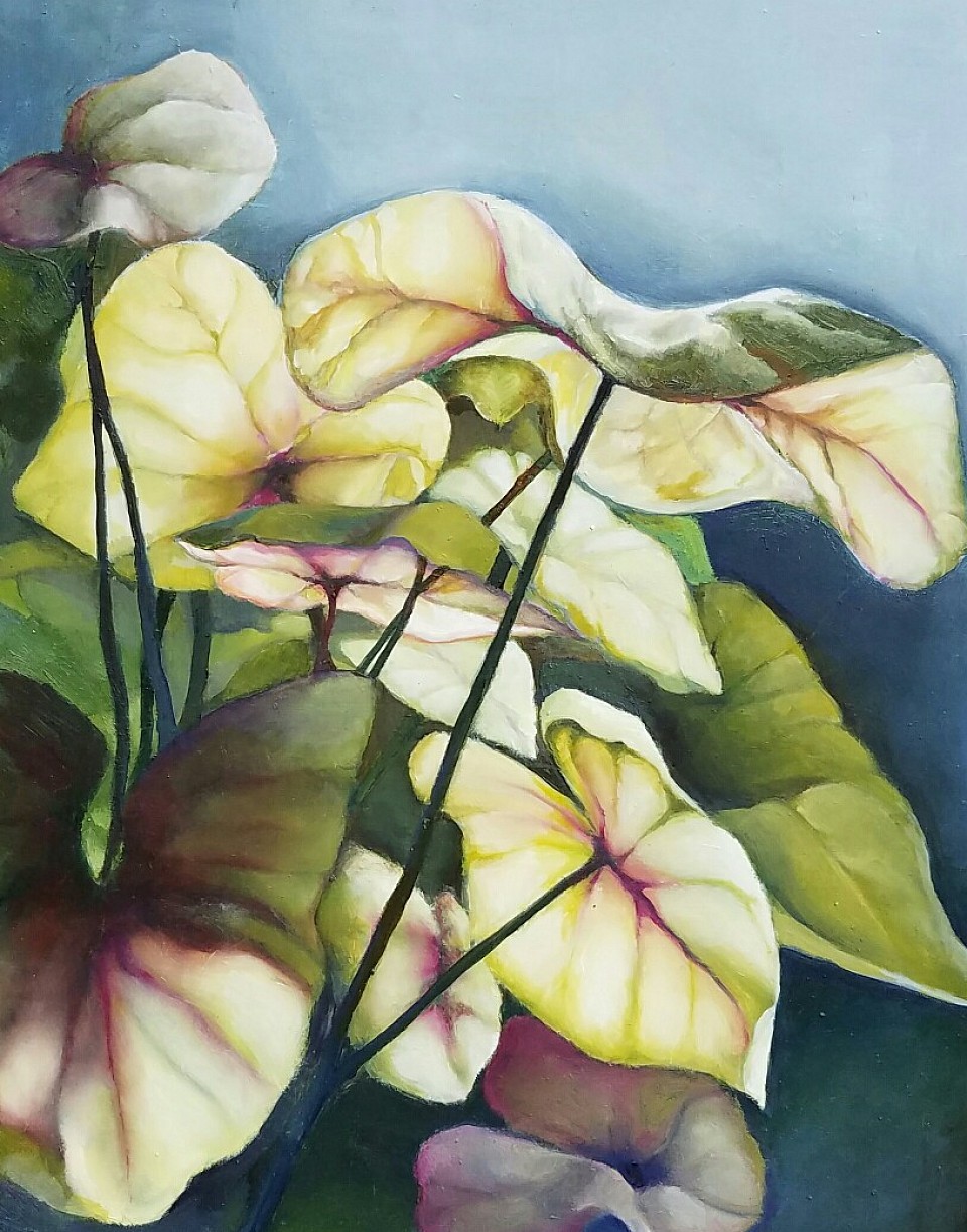 20 x 24