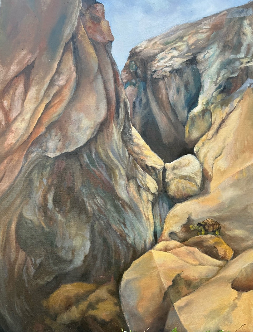 Turtle 48x36 Oil $1000